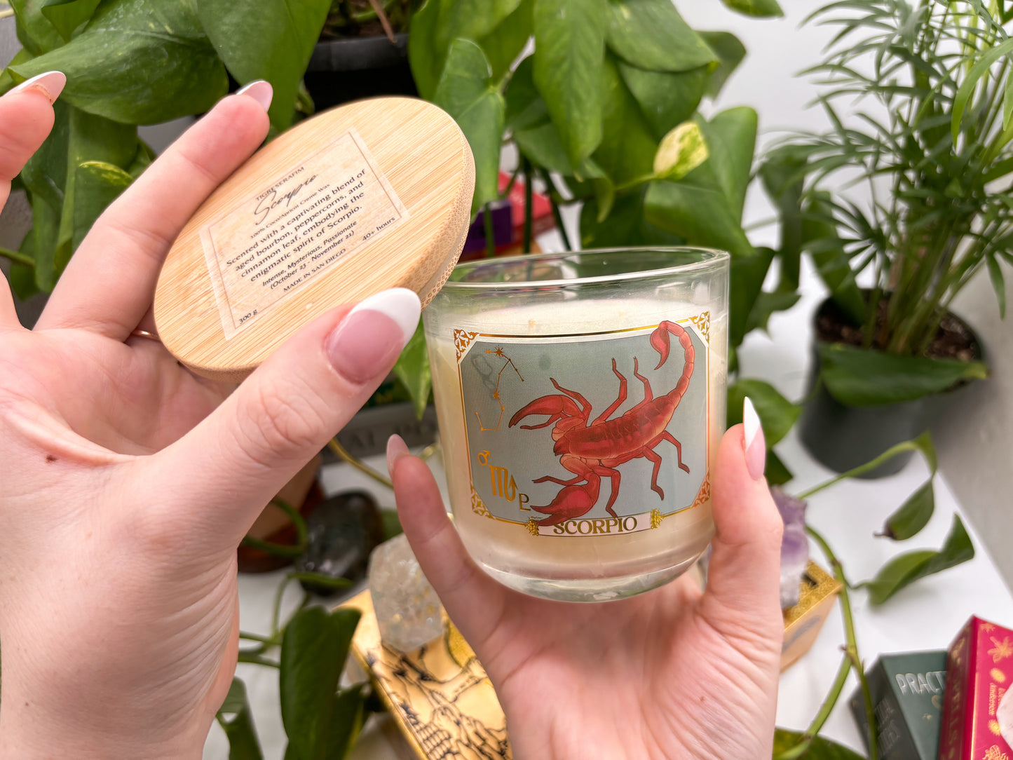 Scorpio Zodiac Candle - Jar